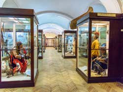 The exhibitions at the Kunstkamera